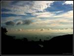 ms2011-0508-001.jpg