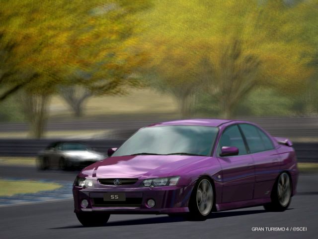 Holden_Commodore_SS_2004_p01.sized.jpg