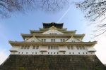 Best-of-2004-牛.jpg