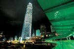 Best-of-2004-樹.jpg