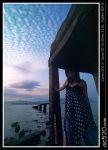 Best-of-2004-ac520.jpg