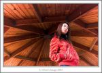 Best-of-2004-alvin.jpg