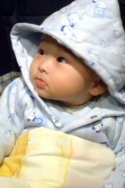 baby-2004-1231-001.jpg