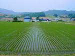 2003-0629-002_Japan.jpg
