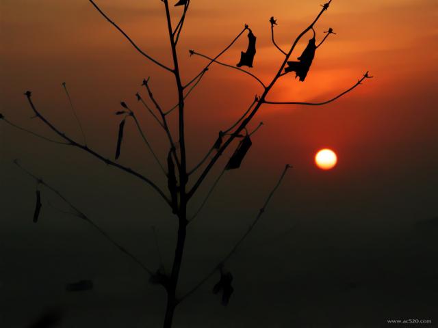 2001-1021-002_Lamma_Island.jpg