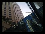 ms2008-1114-001.jpg